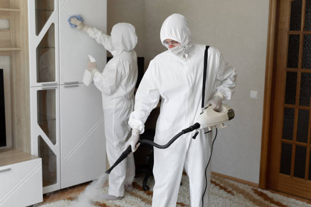 Best Post-Flood Mold Remediation in Forest Park, IL