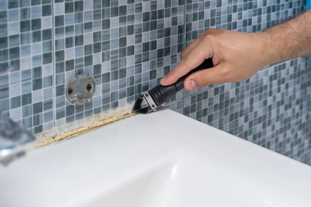 Best Mold Remediation for Schools in Forest Park, IL