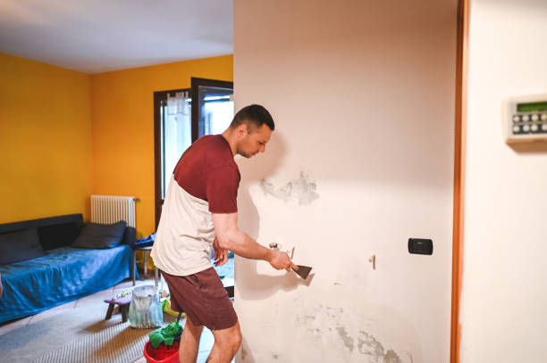 Best Crawl Space Mold Remediation in Forest Park, IL